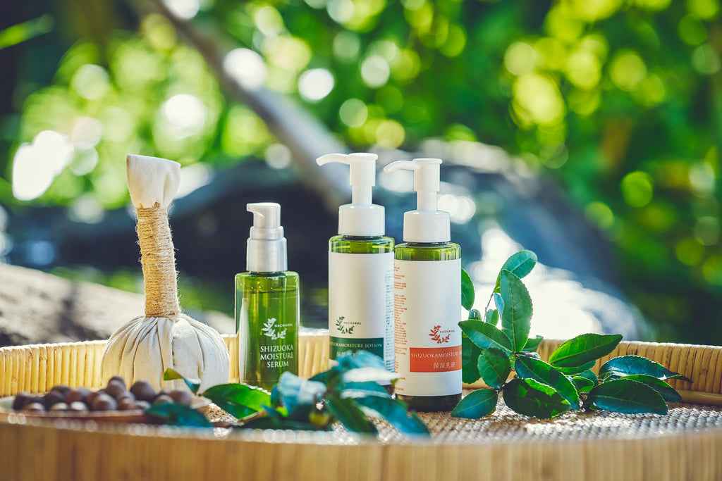 卸売ご希望の事業者様へ