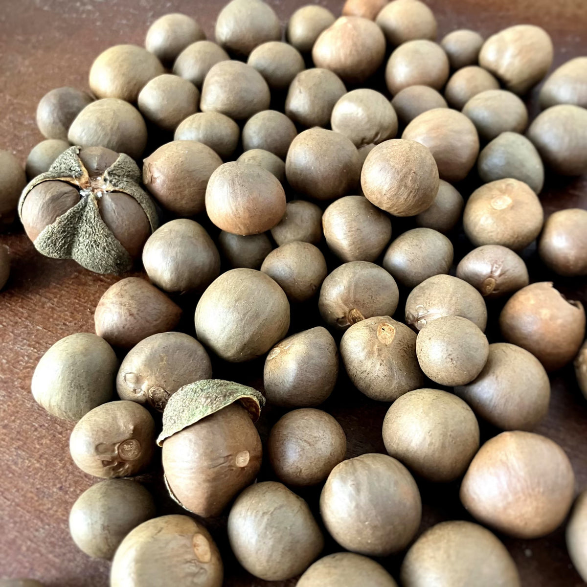 スキンモイストリッチクリーム 10g